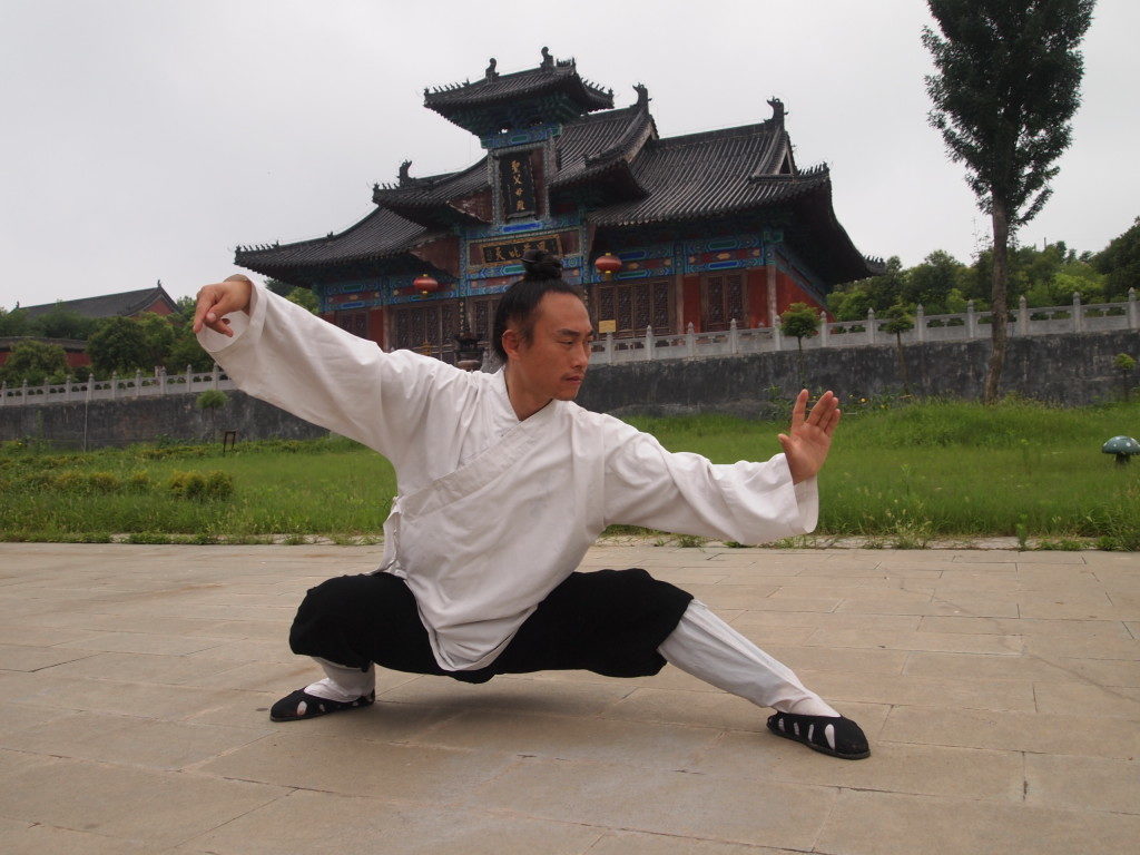 Wudang Tai Chi według Mistrza Zhou Xuan Yun- spis ruchów