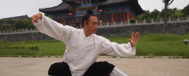 Wudang Tai Chi według Mistrza Zhou Xuan Yun- spis ruchów