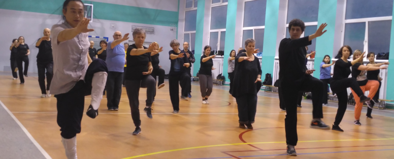 Wudang Tai Chi Zhou Xuan Yun